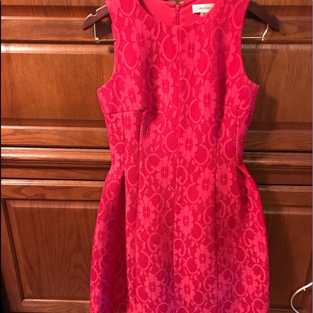 Calvin Klein strawberry lace structured dress